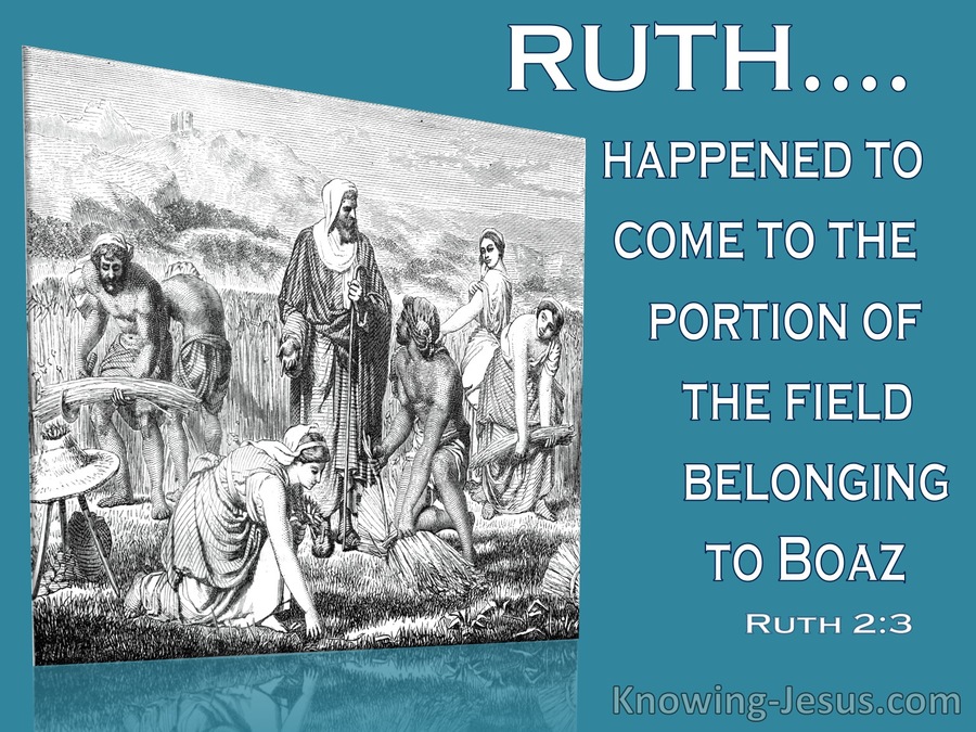 Ruth 2:3  Ruth Departed And Gleaned In The Field (white)